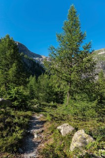 Landscape of the Rhone valley near the hamlet of Gletsch