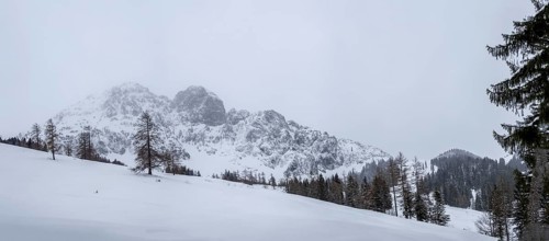 Winter landscape in front of snow-covered Bosruck massif