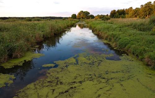 Water ditch in the Nuthe-Nieplitz nature Park near Stangenhagen