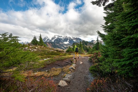 Hikers on trail on Table Mountain