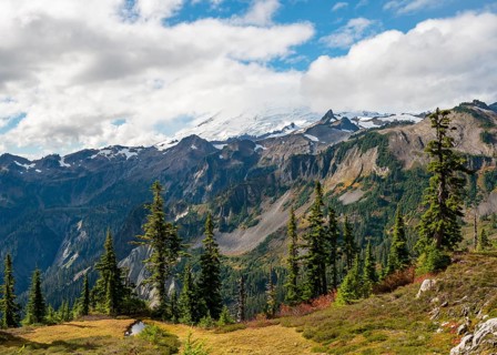 View of Mt. Baker with snow and glacier