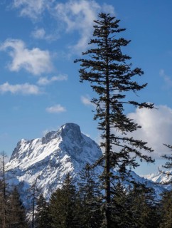 Admonter Reichenstein