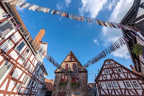 Ties hung on a leash from an action for peace by Soroptimist International