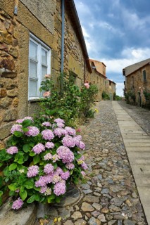 Narrow street with flowers and old stone houses