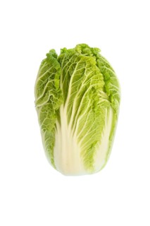 Chinese cabbage