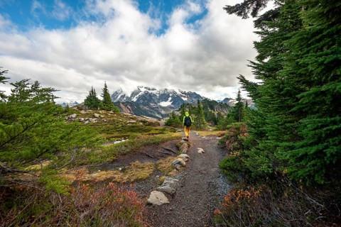 Hikers on trail on Table Mountain