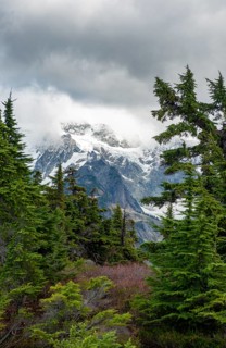 View from Table Mountain of Mt. Shuksan with snow and glacier