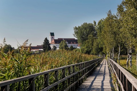 Federseesteg