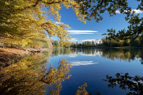 Autumn trees on the shore of the Lengwil pond