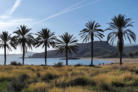 Snake Bay