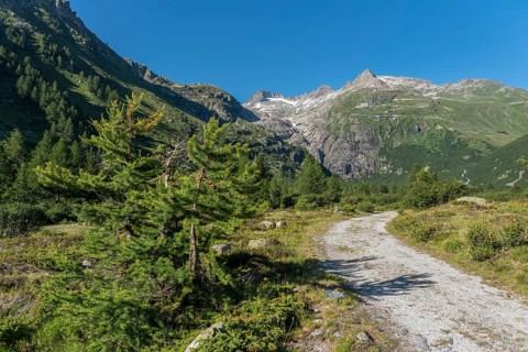 Landscape of the Rhone valley near the hamlet of Gletsch