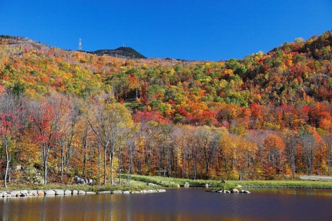Autumnal landscape