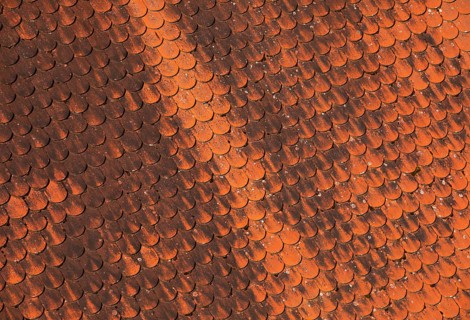 Detail of a red old tiled roof