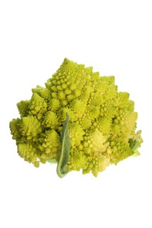 Romanesco