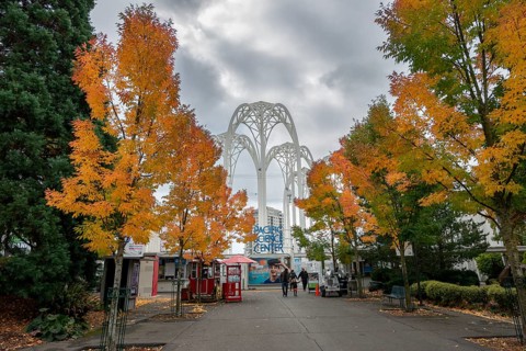 Street with autumnal trees