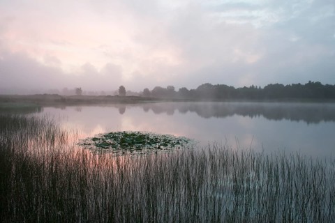 Heidesee at sunrise