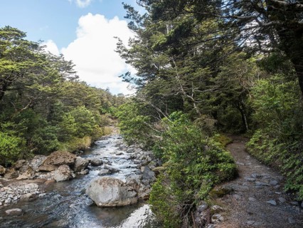 Taranaki Falls Track