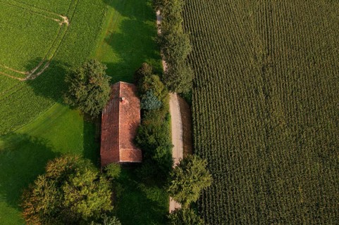 Old house roof in an agricultural landscape with maize field and gravel path from above