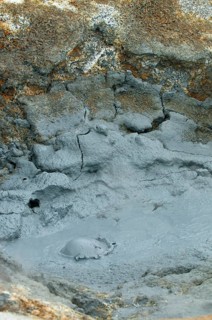 Bubbling mud spring in the Hveraroend geothermal area