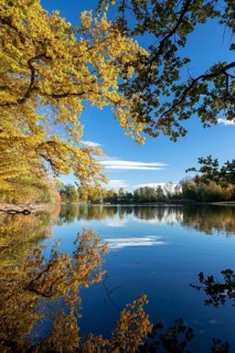 Autumn trees on the shore of the Lengwil pond