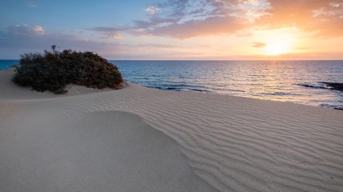 Sunrise