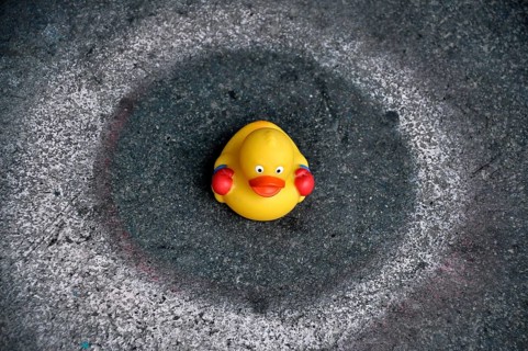 Yellow rubber duck sitting in a circle on the floor