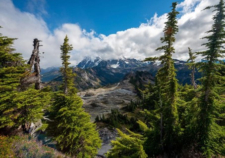 View from Table Mountain of Mt. Shuksan with snow and glacier