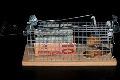 Euro coins and paper money lying in a live trap for mice
