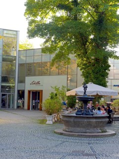 Schiller store
