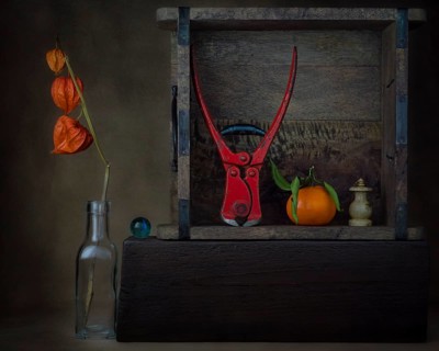 Still life with physalis in glass bottle