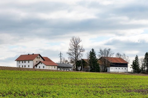Farm