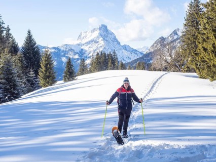 Snowshoe hiker in winter landscape