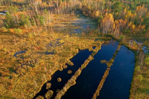Drone image Nicklheimer Filzen