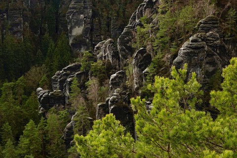 Elbe Sandstone Mountains