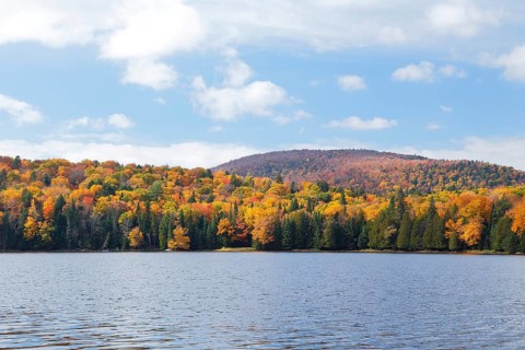 Autumnal landscape