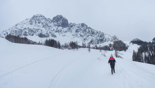 Winter landscape