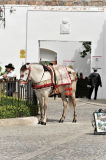 Rider with horse at the bullring of Ronda