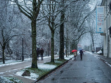 People with umbrella during snowfall
