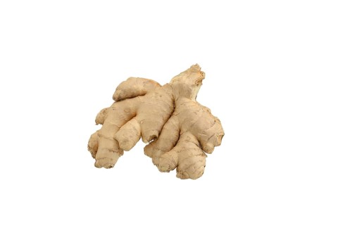 Ginger