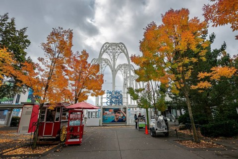 Square with autumnal trees