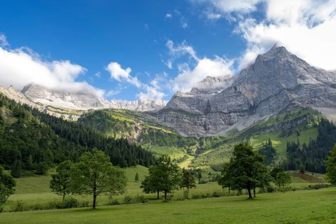 Mountain landscape with maple trees in the alpine pasture area Eng in front of Spritzkarspitze