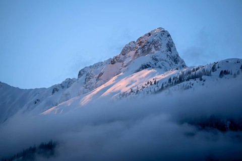 Winter landscape