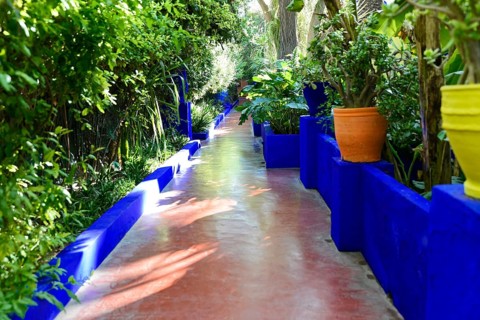 Jardin Majorelle