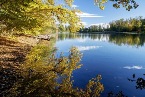 Autumn trees on the shore of the Lengwil pond