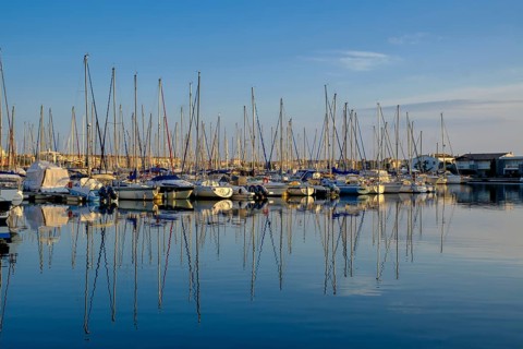 At the port