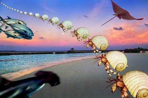 Photomontage
