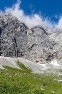 Alpine pasture area Enger Grund with cows