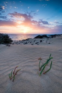 Sunrise