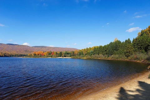 Autumnal landscape