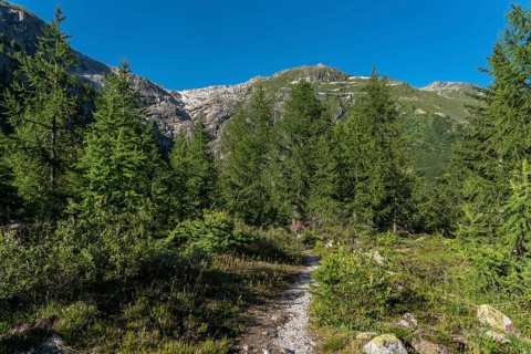 Landscape of the Rhone valley near the hamlet of Gletsch